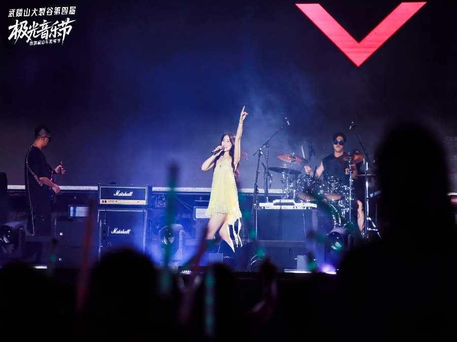 音樂節策劃公司 (23)